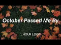 Download Lagu October Passed Me By - girl in red ( 1 HOUR LOOP )