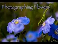 Photographing and post-processing flower images