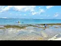 Download Lagu Lagu ChaCha Asyik //Ganteng Pulang dari Bagadang// Cover