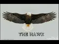Armağan Oruç -THE HAWK