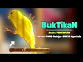 Download Lagu Suara KENARI Paud !! Suara PANCINGAN KENARI PAUD Belajar BUNYI Ngeriwik - MASTERAN Kenari PAUD #507