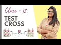 Test Cross Explained Easy HINDI Class 12 NCERT