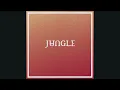 Jungle - I've Been In Love feat. Channel Tres [Instrumental]