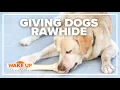 VERIFY Fact Check Can I give my dog a rawhide