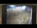 How four Georgia inmates escaped from the Bibb County Jail