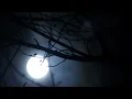 mono - moonlight