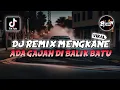 Download Lagu DJ REMIX MENGKANE ADA GAJAH DI BALIK BATU VIRAL TIKTOK TERBARU
