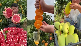 Farm Fresh Ninja Fruit Cutting Oddly Satisfying Fruit Ninja