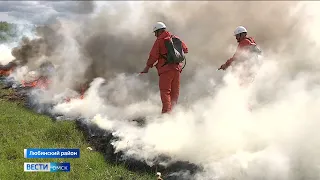 «Вести Омск», утренний эфир от 17 августа 2022 года