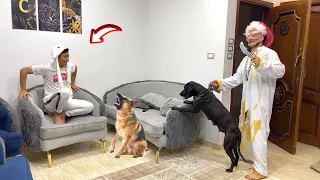 لما اخوك الصغير يعد فالبيت لوحده والسفاح يتهجم عليه     السلسيلي دندنها