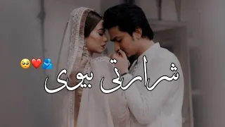 Download Shararti Biwi | Story No.233 | Love Story | Urdu \u0026 Hindi | For Married Couples MP3