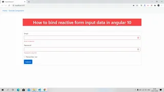 Angular 10 Data Binding with ngModel