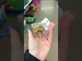 Thrifting For Littlest Pet Shops