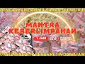 Download Lagu Mantra Keberlimpahan: Musik K-Pop Afirmasi Magnet Uang 432 Hz untuk Keberuntungan dan Kekayaan