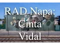 Download Lagu RAD Napa Cinta Vidal in Napa Valley