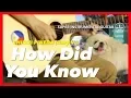 Download Lagu Chiqui Pineda How Did You Know Instrumental guitar karaoke version with lyrics