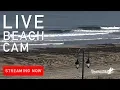 Live Surf Cam Belmar New Jersey