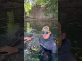 Gator attack in the springs update she lost her arm