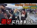 【ハーレー】旧車好きにはたまらないイベントがヤバすぎた！VMRS2025がすごかった！！
