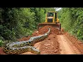 Lagu Perfect...Bulldozer Slices Through Rainforest - New Road Built in MINUTES?