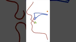 طريقة الرسم لحفظ مخارج الحروف طريقة مجربة 