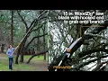 Fiskars Power Lever 16ft Extendable Tree Pruner Pole Saw COSTCO Review