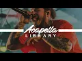 Post Malone - Hollywood s Bleeding Acapella