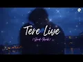 🎧 Tere Liye (Slowed + Reverb) | Prince | Atif Aslam, Shreya Ghoshal | The Triple Penguins Lofi