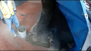 Gente De Malas Raíces
