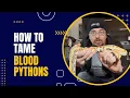 You Won t Believe How Easy It Is to Tame Baby Blood Pythons