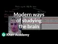 Modern ways of studying the brain Organ Systems MCAT Khan Academy
