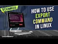 How to Use export Command in Linux 8 Practical Examples LinuxSimply