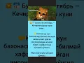 Download Lagu #music #dj #remix #song #love #motivation #uzb #massage