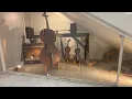 A RARE look inside the Dogal String factory in Venice Italy