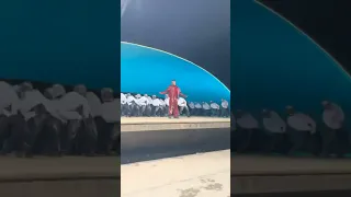 كواليس اغنية الشامي بتهون الجديدة Alshami حالات واتس اب اكسبلور اغاني الشامي دكتور دوالي 