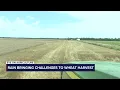 Download Lagu Eye on Agriculture Rain challenges and Wheat Harvest