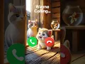 Download Lagu Wayne calling 🤙🏻✨ #ringtone #youtube #cat #youtubeshorts #cutecat #trending #viral #kitten #call #yt