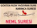 Download Lagu Neml Suresi - Gökten Rızık Yağdıran Sure - KARINCA SURESİ Dinle 🤲🏻