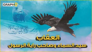 العقاب سيد السماء الذي أطلق اسمه على المسيرات الأوكرانية التي أنهكت الروس وعلى راية رسول الله  العقاب سيد السماء الذي أطلق اسمه على المسيرات الأوكرانية التي أنهكت الروس وعلى راية رسول الله