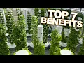 Lagu Vertical Farming with Aeroponics: Top 7 Benefits of a Tower Farm