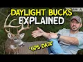 Deer Biologist The Science Behind Buck DAYLIGHT Movement