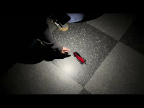 The Creature of Chaos (short film)