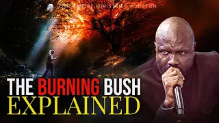 my god i never knew this must watch