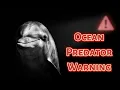 Why Dolphins Can Be Dangerous