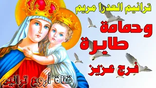 ترنيمة وحمامة طايرة فرج عزيز دندنها