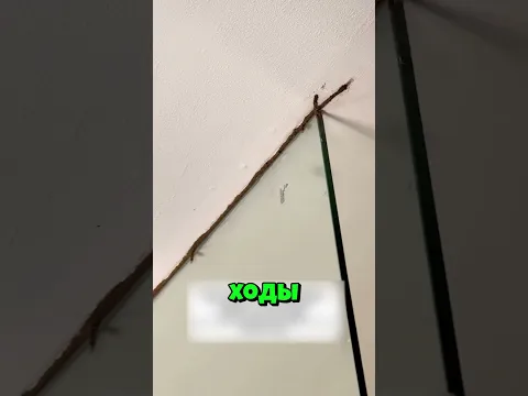Красиво и ужасно!