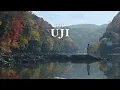 Autumn in KYOTO 🍁 A peaceful day in Uji’s matcha town | Japan Travel Vlog