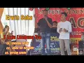 Download Lagu 3 Lagu Lampung Terpopuler Nonstop || Erwin Saka _ Live Panggung Laga Musik