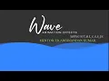 Wave Animation Effects - Html CSS JS