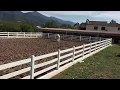 Corral Cerca Texana 3 tablones Prefabricados de Concreto DISSA